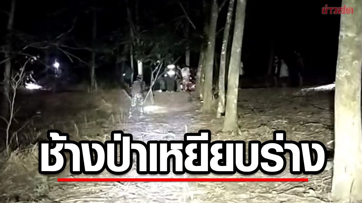 ช้างป่า วิ่งไล่หนุ่มวัย38 ล่อไปอีกทางให้เมียรอด ก่อนถูกเหยียบเสียชีวิต