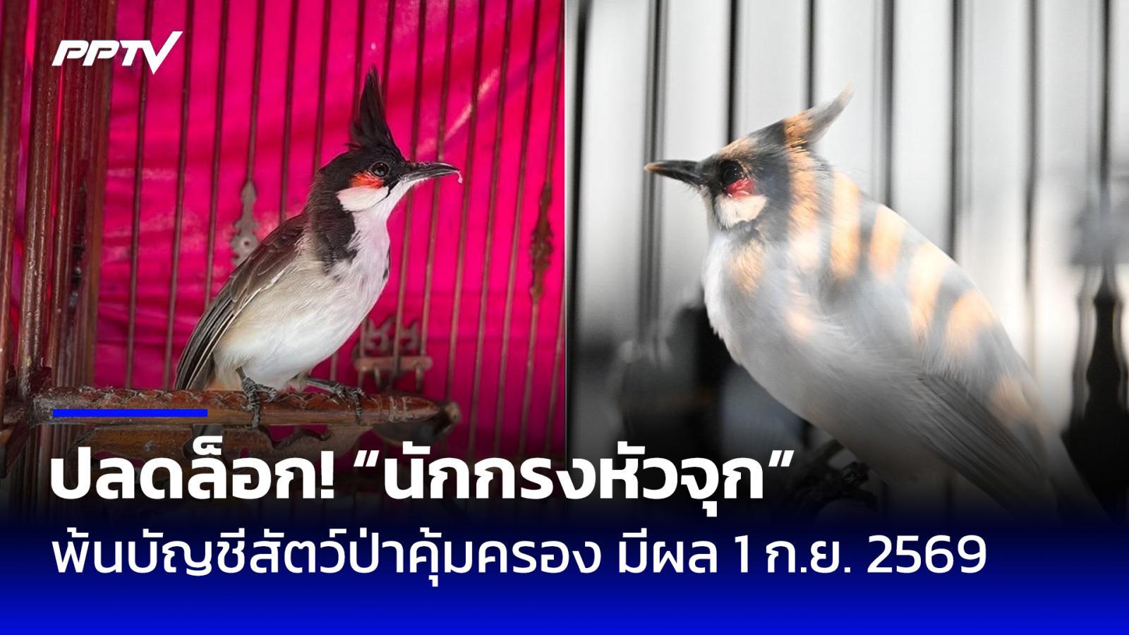 มีผลแล้ว! ปลดล็อก "นกกรงหัวจุก" พ้นบัญชีสัตว์ป่าคุ้มครอง มีผล 1 ก.ย. 69