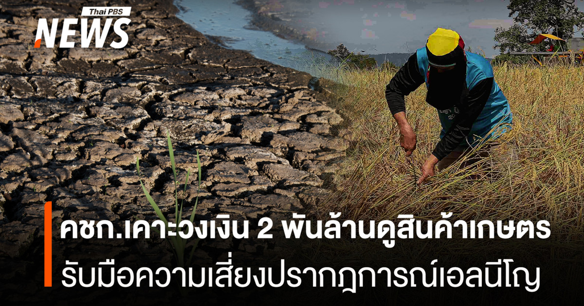 คชก.เคาะวงเงิน 2พันล้าน ดูแลสินค้าเกษตร รับมือ"เอลนีโญ"