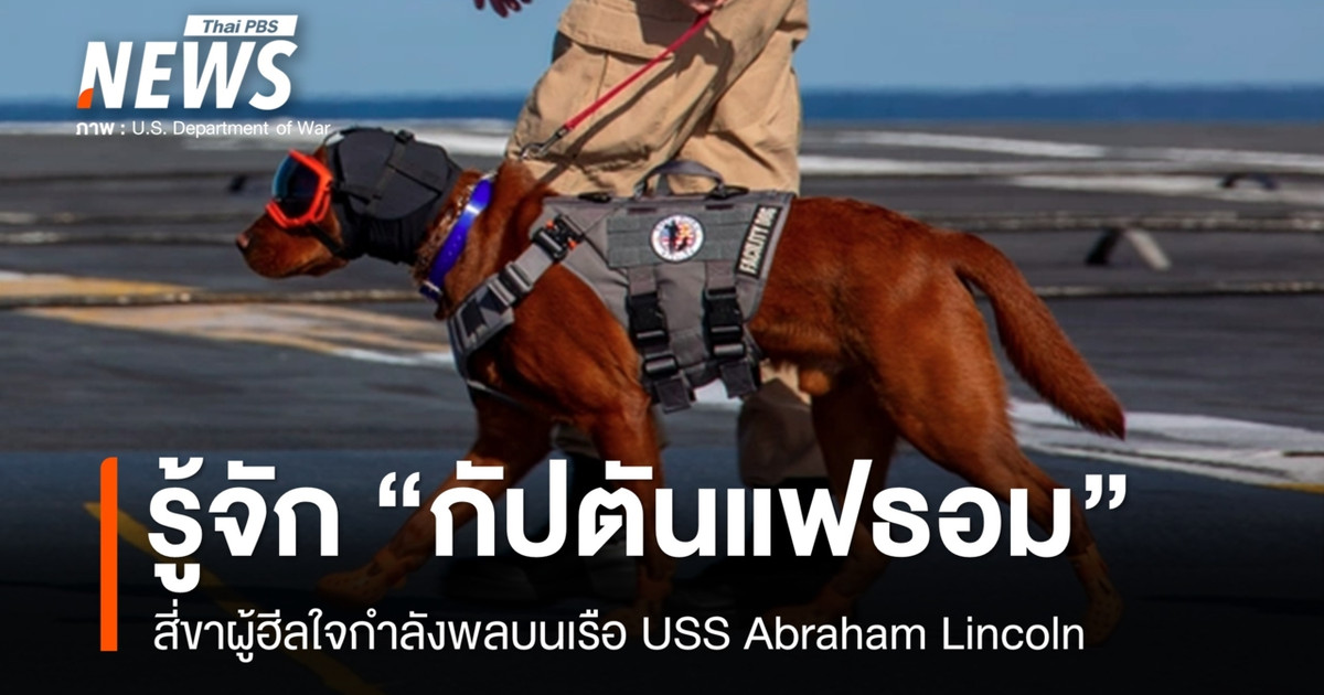 รู้จัก "กัปตันแฟธอม" สี่ขาผู้ฮีลใจทหารเรือสหรัฐฯ กลางมหาสมุทร