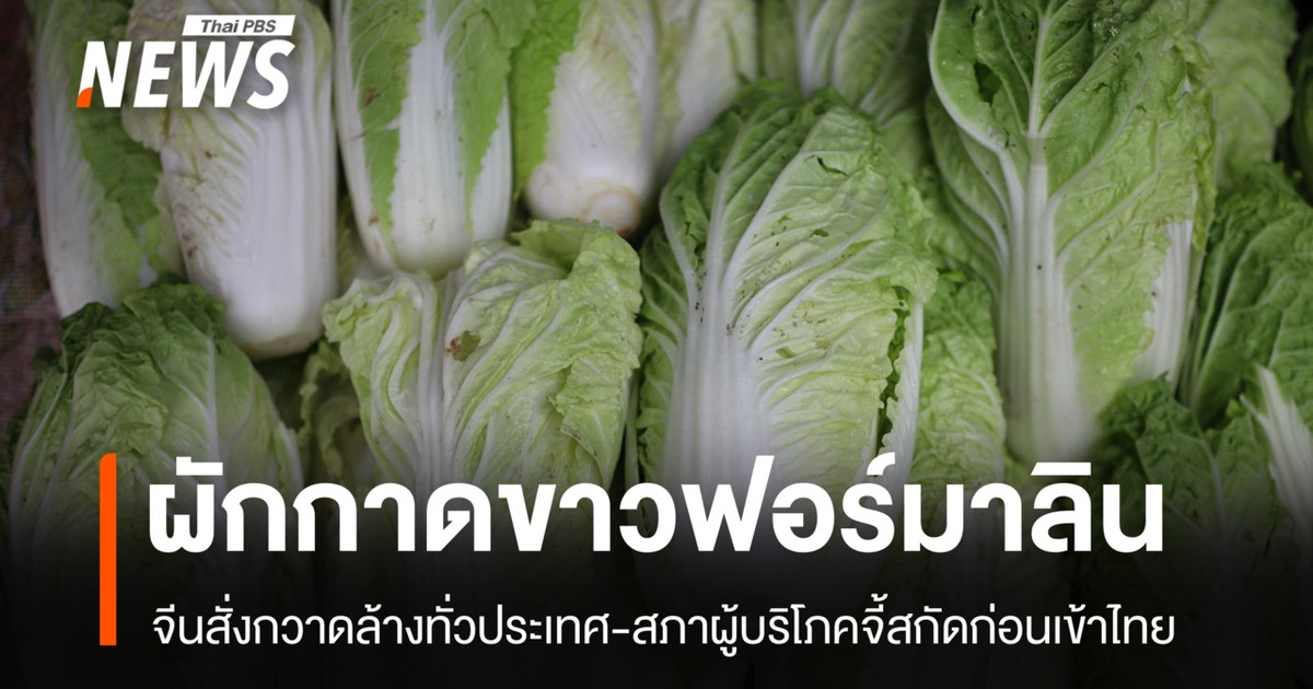 จีนสั่งกวาดล้าง "ผักกาดขาวฟอร์มาลิน" สภาผู้บริโภค จี้รัฐสกัดก่อนเข้าไทย