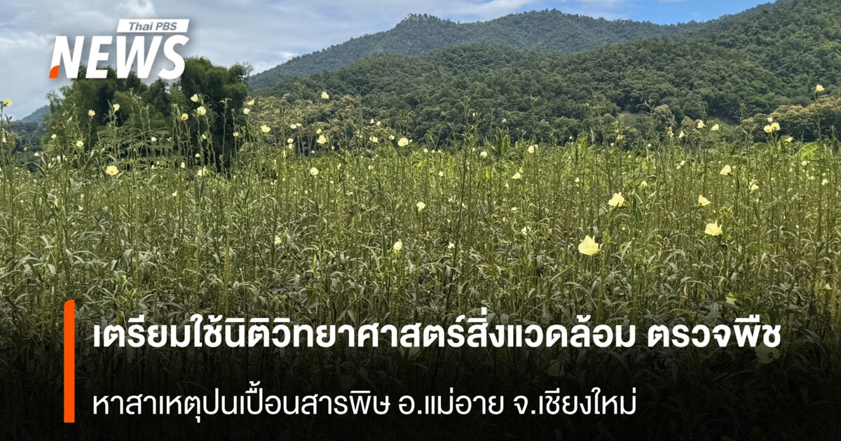 เตรียมใช้นิติวิทยาศาสตร์สิ่งแวดล้อม ตรวจพืช หาสาเหตุปนเปื้อนสารพิษ อ.แม่อาย จ.เชียงใหม่