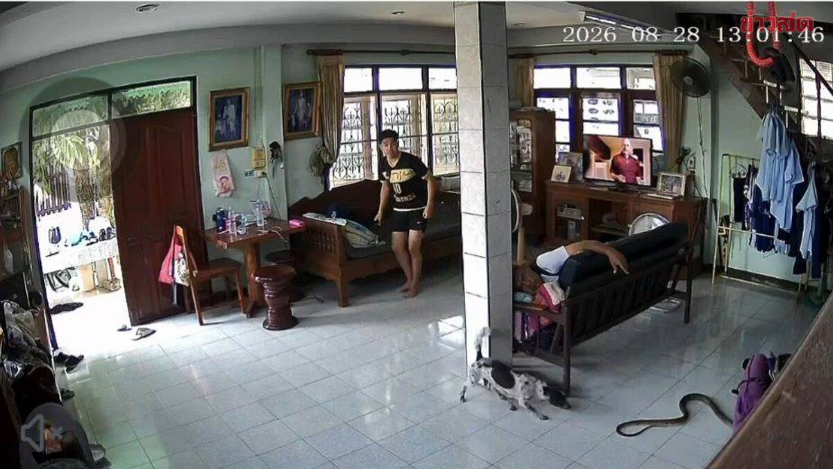 เจ้านายข้าใครอย่าแตะ สุนัขตัวน้อย กระโดดเข้าไล่งูตัวใหญ่ ที่เลื้อยเข้าบ้าน