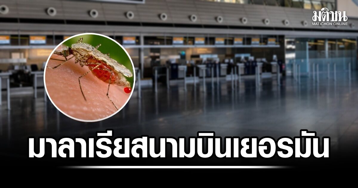 มาลาเรียระบาดที่สนามบินแฟรงก์เฟิร์ต พนง.เสียชีวิตแล้ว 2 ราย คาดมาจากยุงที่ติดมากับเครื่องบิน