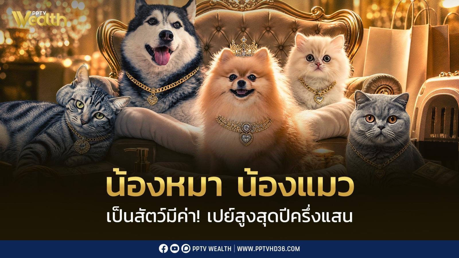น้องหมา น้องแมว เป็นสัตว์ค่า ทาสยอมเปย์ 7,910 - 50,500 บาท/ปี รับเทรนด์สัตว์เลี้ยง เป็น คนในครอบครัว